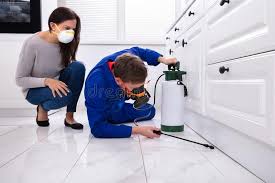 Best Fumigation Services  in Champaign, IL